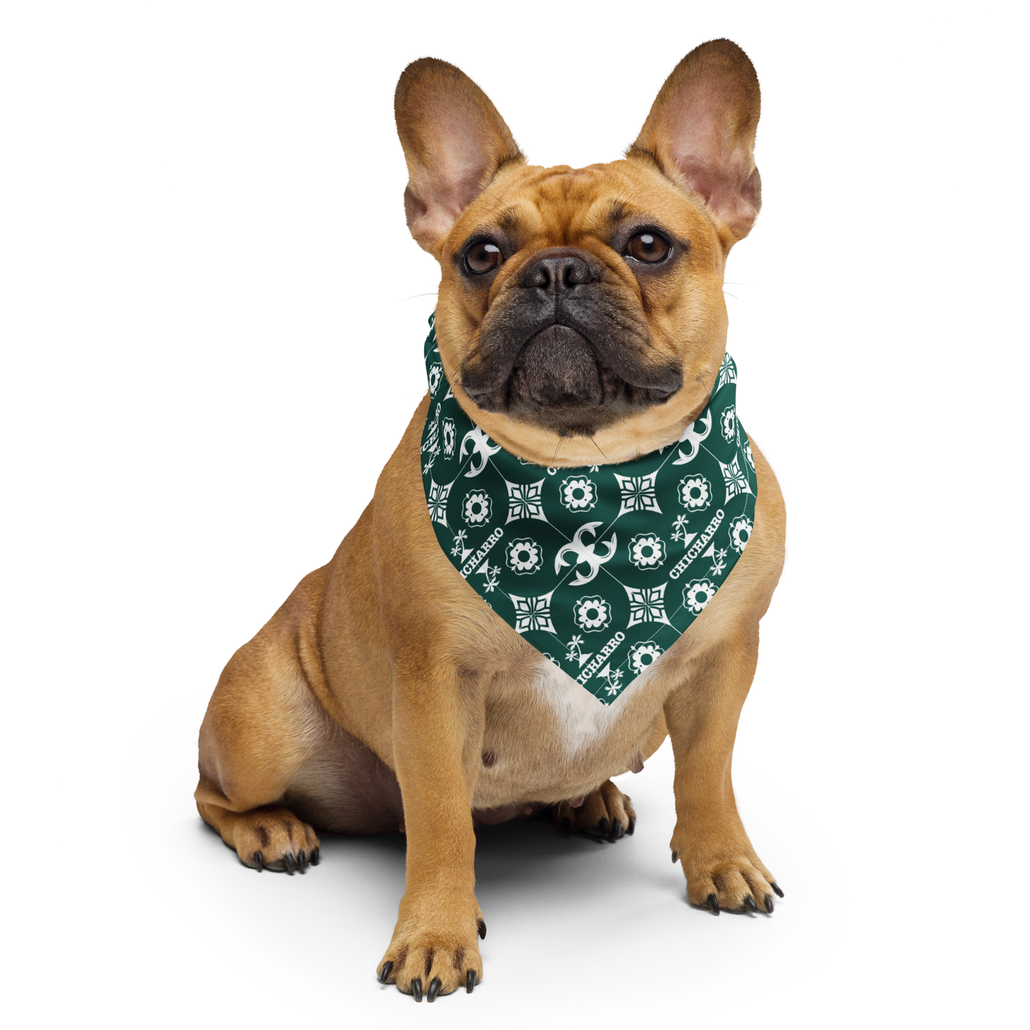 Chicharro Bandana o pañuelo