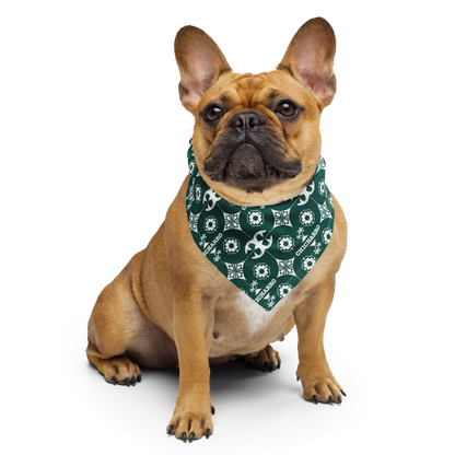 Chicharro Bandana o pañuelo